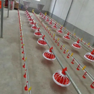 380v Poultry Farm Equipment 3 pan/3m Automatic Pan Feeding System