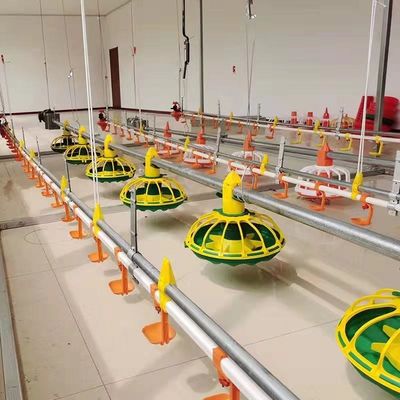 Linea di alimentazione per polli completamente automatica da 450 kg/h con tubo zincato a tramoggia