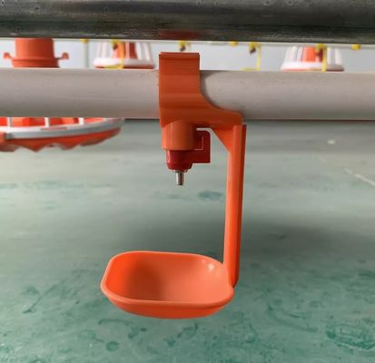 Sistema idrico per capezzoli ODM/OEM per pollame 3 mesi di garanzia