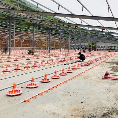 4 Pan/3m Poultry Farm Equipment 380v Sistema di alimentazione automatica