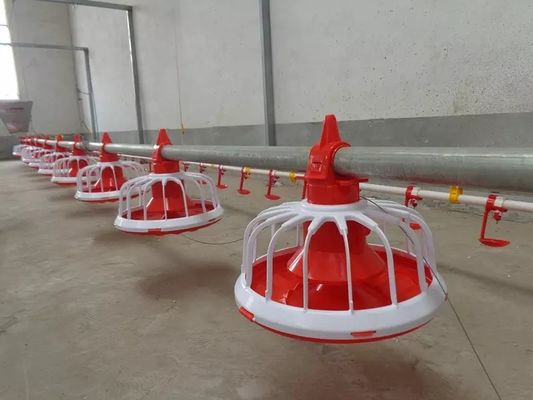 Attrezzature per l'allevamento di polli da carne 380v con 1 anno di garanzia