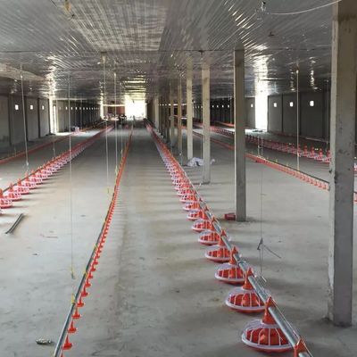 380V 50hz 3 fasi attrezzature per l'allevamento di pollame per l'alimentazione dei polli da carne