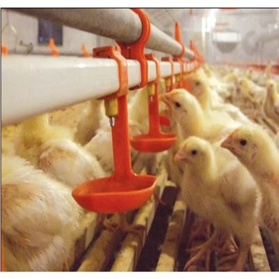 Bird Quail Chicken Nipple Drinker System 3 mesi di garanzia