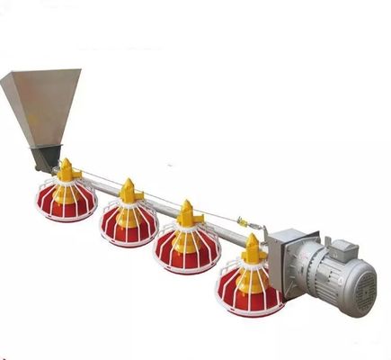 5-10 Uccelli Mangiatoia per pollame Bevitore automatico per capezzoli per pollo da carne