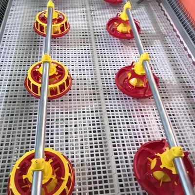 Macchina per l'allevamento di pollame da 3 m di lunghezza con 10 anni di durata