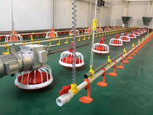 Diametro 60mm Macchina per l'alimentazione dell'allevamento di pollame Acciaio zincato