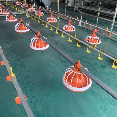 Sistema d'alimentazione automatico dell'attrezzatura dell'azienda agricola del pollame di EO per il pollame una garanzia da 1 anno