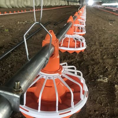 Sistema di alimentazione per polli da 3 padelle/3 m Facile installazione Lunga durata