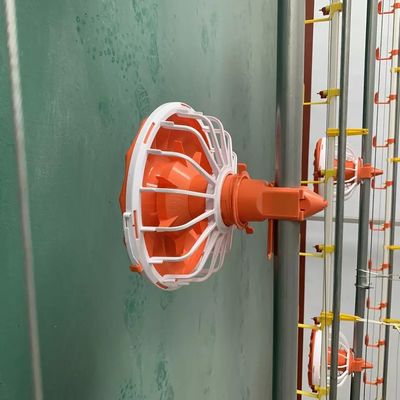 HX Poultry Farm Equipment 0.75kw Sistema di alimentazione automatica per polli