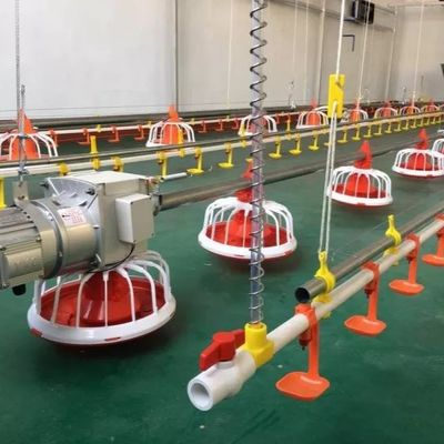 Alimentatore automatico del pollame dell'attrezzatura dell'azienda agricola del pollame dell'OEM 30KG per il pollo da carne