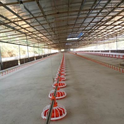 14 Grid 16 Grid Pollame Farm Equipment Linea di alimentazione per pollo