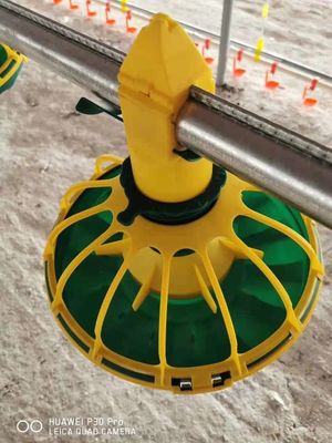 15 padelle per mangime per pollame a griglia Padella per mangime per polli per polli da carne