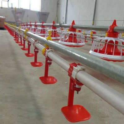 380v Poultry Farm Equipment 3 pan/3m Automatic Pan Feeding System