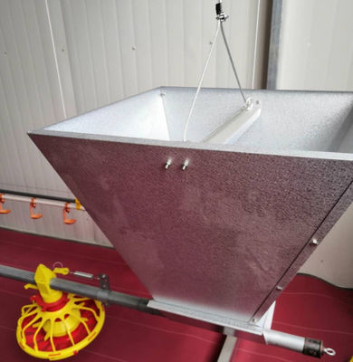 Linea di alimentazione automatica per broiler / pollo / pollame