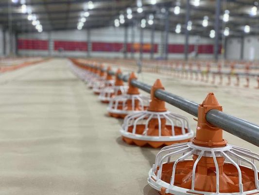 14/16 partizioni Attrezzature per l'allevamento di pollame Mangiatoie e abbeveratoi per polli in plastica