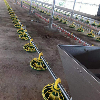 Linea di alimentazione completamente automatica per polli 14/16 partizioni 450 kg/h