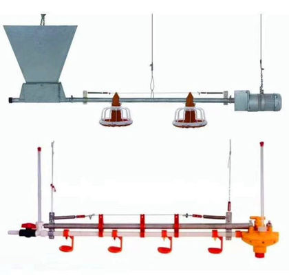 Linea di alimentazione per polli completamente automatica da 450 kg/h con tubo zincato a tramoggia