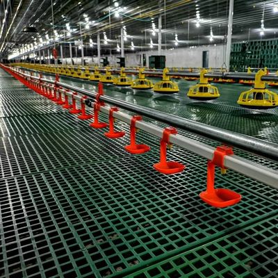 Sistema di alimentazione regolabile per broiler con capezzoli Tramoggia zincata a caldo