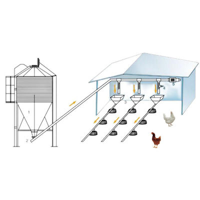 45-65 broiler Chicken Breeding Equipment Sistema di alimentazione per polli HX