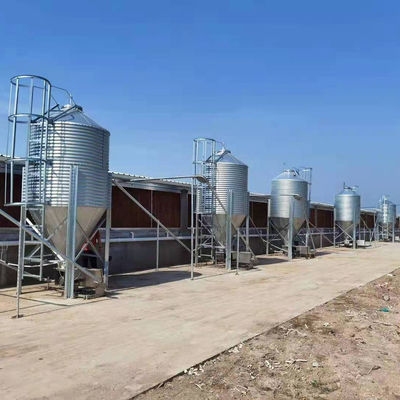 Zootecnia Bidoni per Mangimi Agricoli Silo di Stoccaggio Grano Zincato