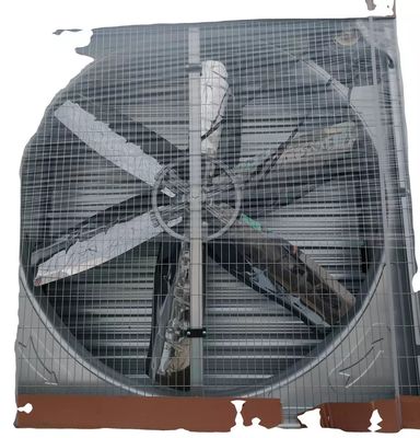 Ventilatore di scarico del pollaio Allevamento di maiali Ventilatore durevole industriale Pollaio Sistema di raffreddamento del ventilatore di scarico