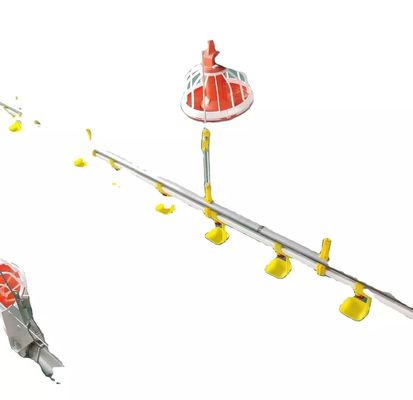 Linea di alimentazione per pollame con tubo zincato a macchina per allevamento di pollame Dia.25mm