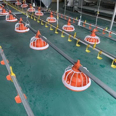 Alimentatore automatico per pollame Dia.25mm per broiler 10 anni di durata