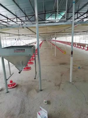 Attrezzatura per l'allevamento di pollame in plastica 380v 0.75kw Macchina d'alimentazione automatica per pollame