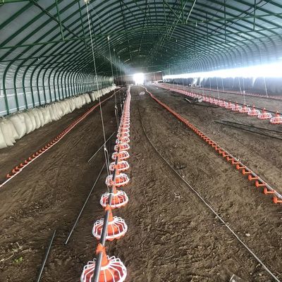 45-60 attrezzature per l'allevamento di pollame di pollo Sistema di alimentazione per allevamento di pollame da 3 padelle/3 m