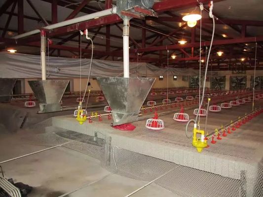 Installazione facile dell'attrezzatura del pollame del pollo di certificazione del CE