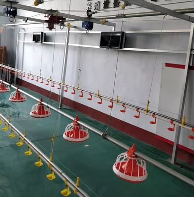 Sistema di controllo ambientale della macchina per l'alimentazione del pollame del diametro 45mm