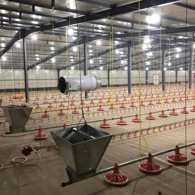 Sistema di alimentazione automatica per polli 380V Dia.45 mm Lunghezza 3040 mm