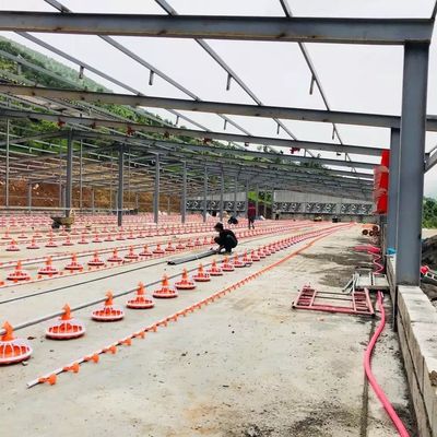 Acciaio galvanizzato macchina di allevamento di pollame del diametro 45mm per i prodotti dei polli da carne