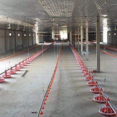 Sistema di alimentazione a vaschetta per macchina per allevamento di pollame a tubo zincato diametro 45 mm
