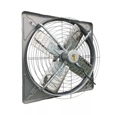 Sistema di ventilazione del pollame dell'acciaio galvanizzato per le officine delle serre