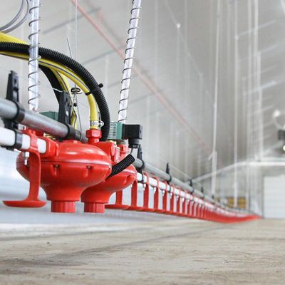 Mangiatoia per pollame in materiale plastico e bevitore a lungo tempo di servizio