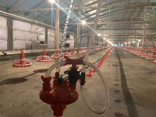 Attrezzatura 380v 0.75kw dell'alimentatore del pollo di 4 Pan/3m con il dispositivo di azionamento